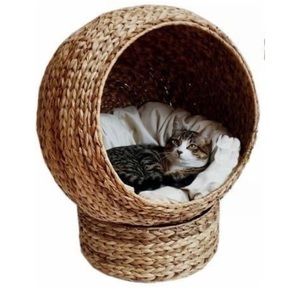 SOLD Banana Leaf Elevated Kitty Condo Pod Pet Bed